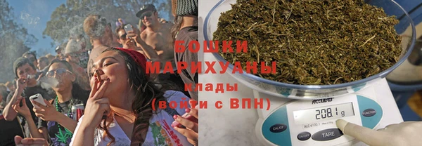 трава Аркадак
