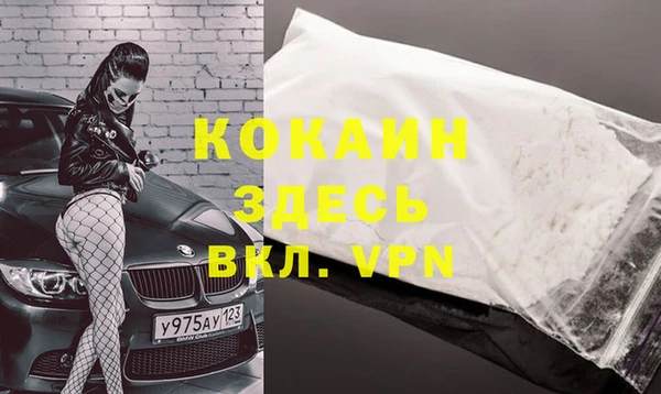 трава Аркадак