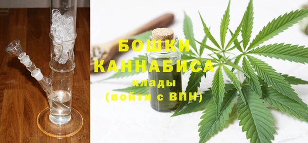 трава Аркадак