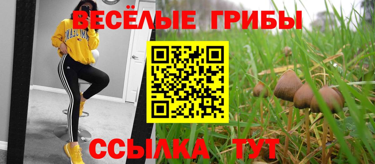 Белореченск  Псилоцибиновые грибы Psilocybine cubensis  Вход с VPN 