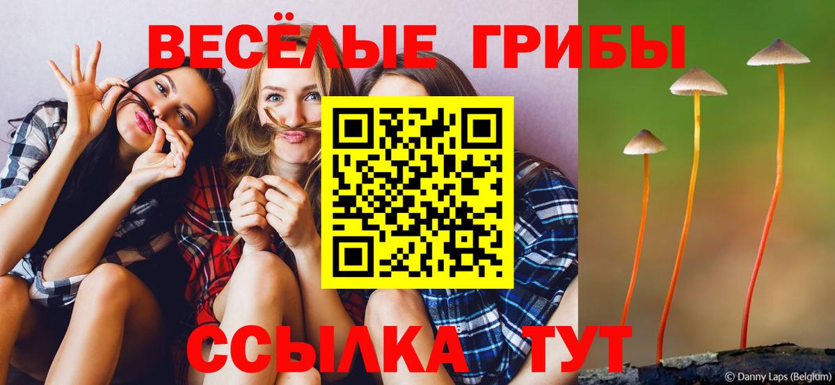 Псилоцибиновые грибы Cubensis Белореченск