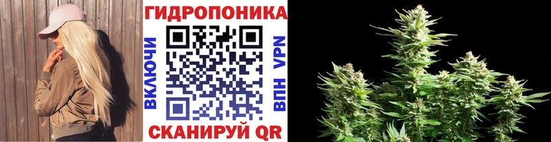 Каннабис Bruce Banner  Белореченск 
